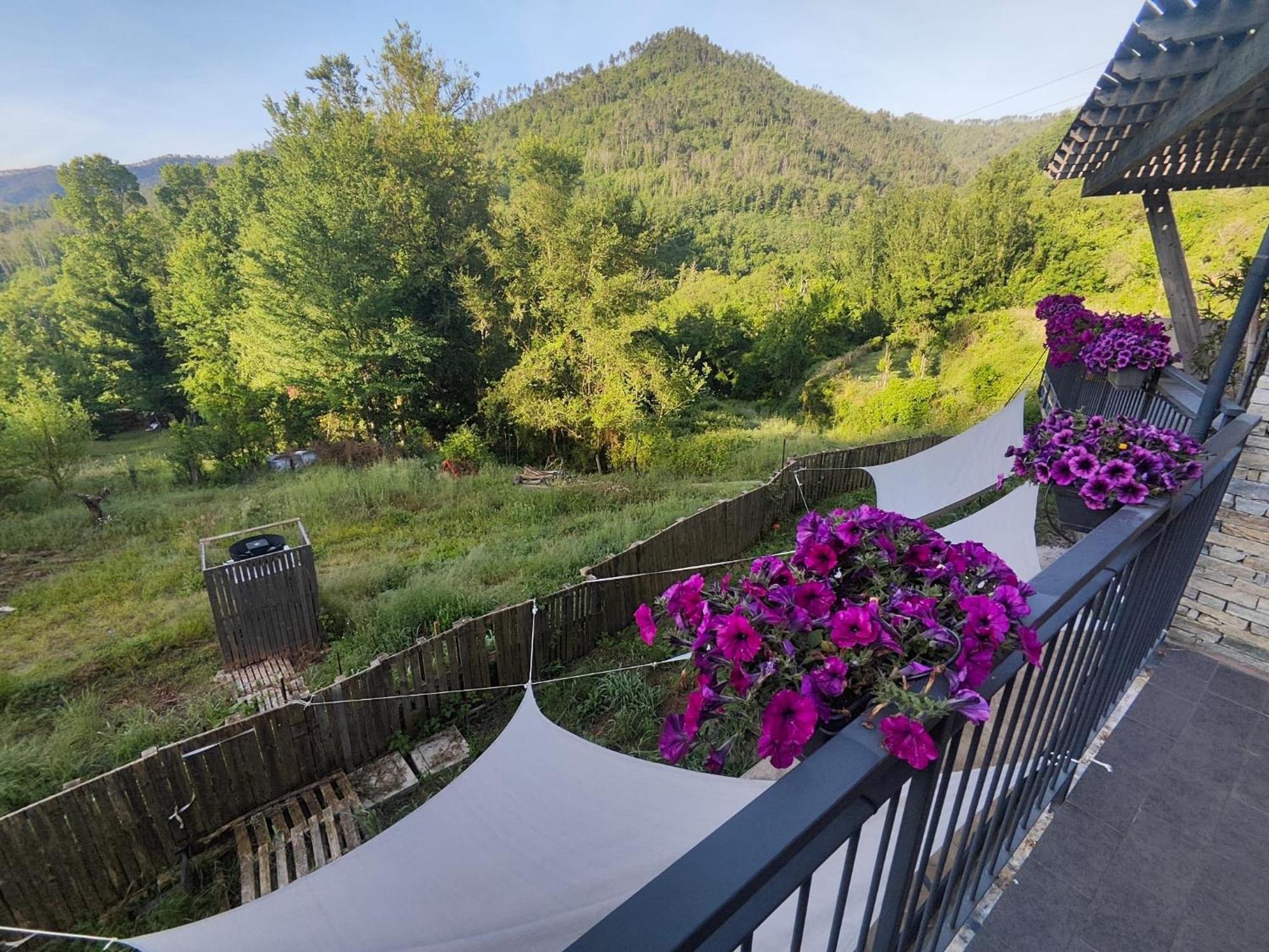 Agriturismo Terre Di Ginepro Borghetto di Vara Ngoại thất bức ảnh